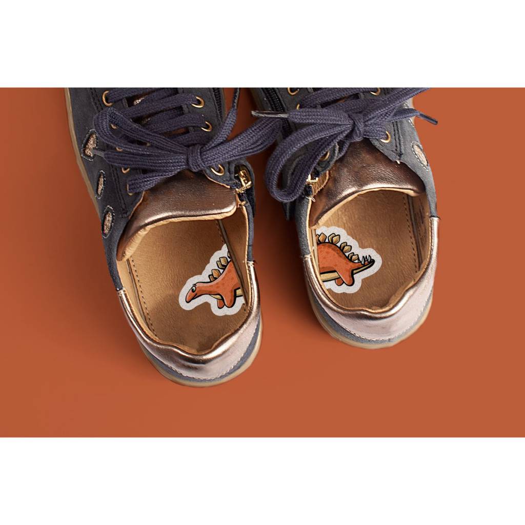 Dino schoenstickers